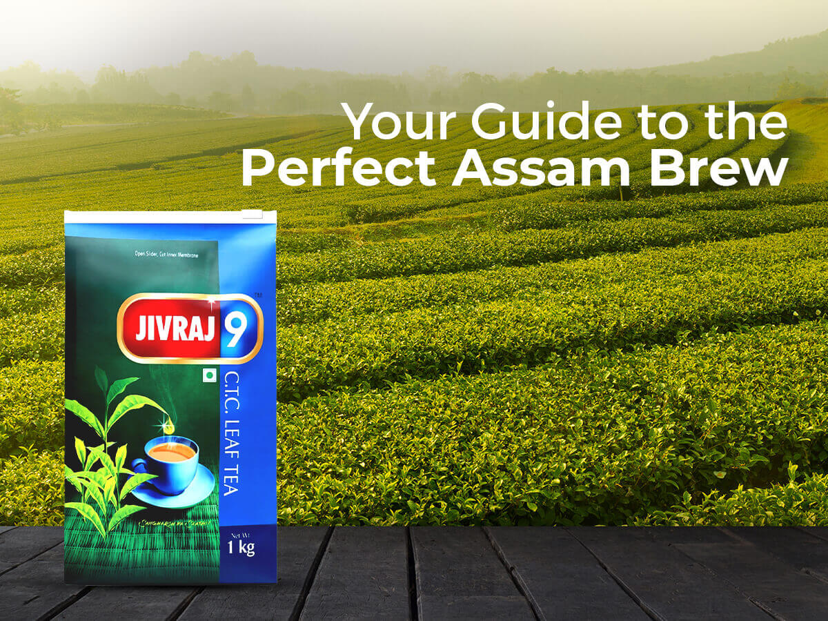 CTC Leaf Tea: Your Complete Guide to the Ideal Assam Brew