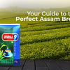 CTC Leaf Tea: Your Complete Guide to the Ideal Assam Brew