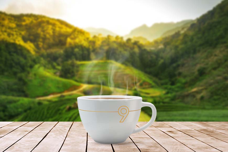 Process of Tea, From Estates to your Cup.