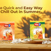 Iced Tea Premix: The Quick and Easy Way to Chill Out in Summer