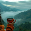 Travel With Tea: 7 Wonders of Premix Tea Packs